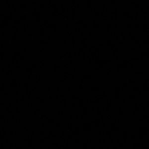 Meet your Posher, Mason